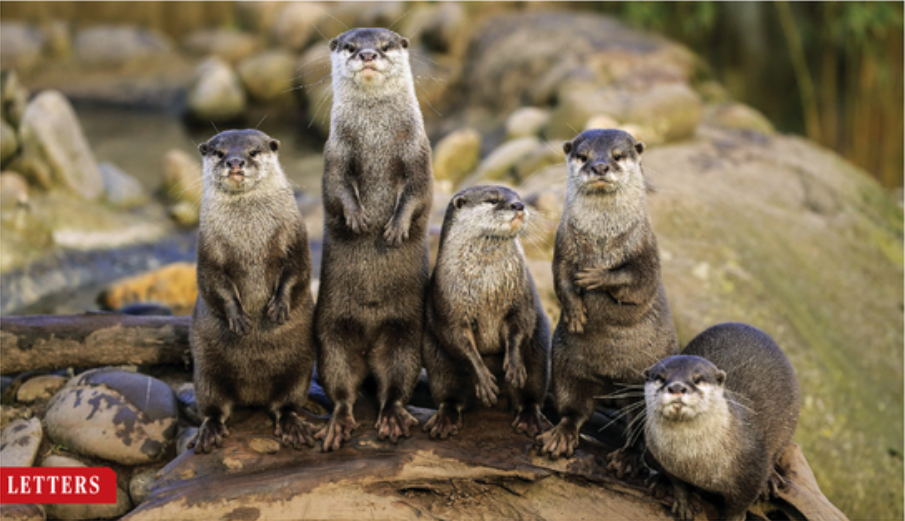 对撞机 【CNS大盘点】曲阜师范大学今年第3篇Science，厦大开年第1篇！