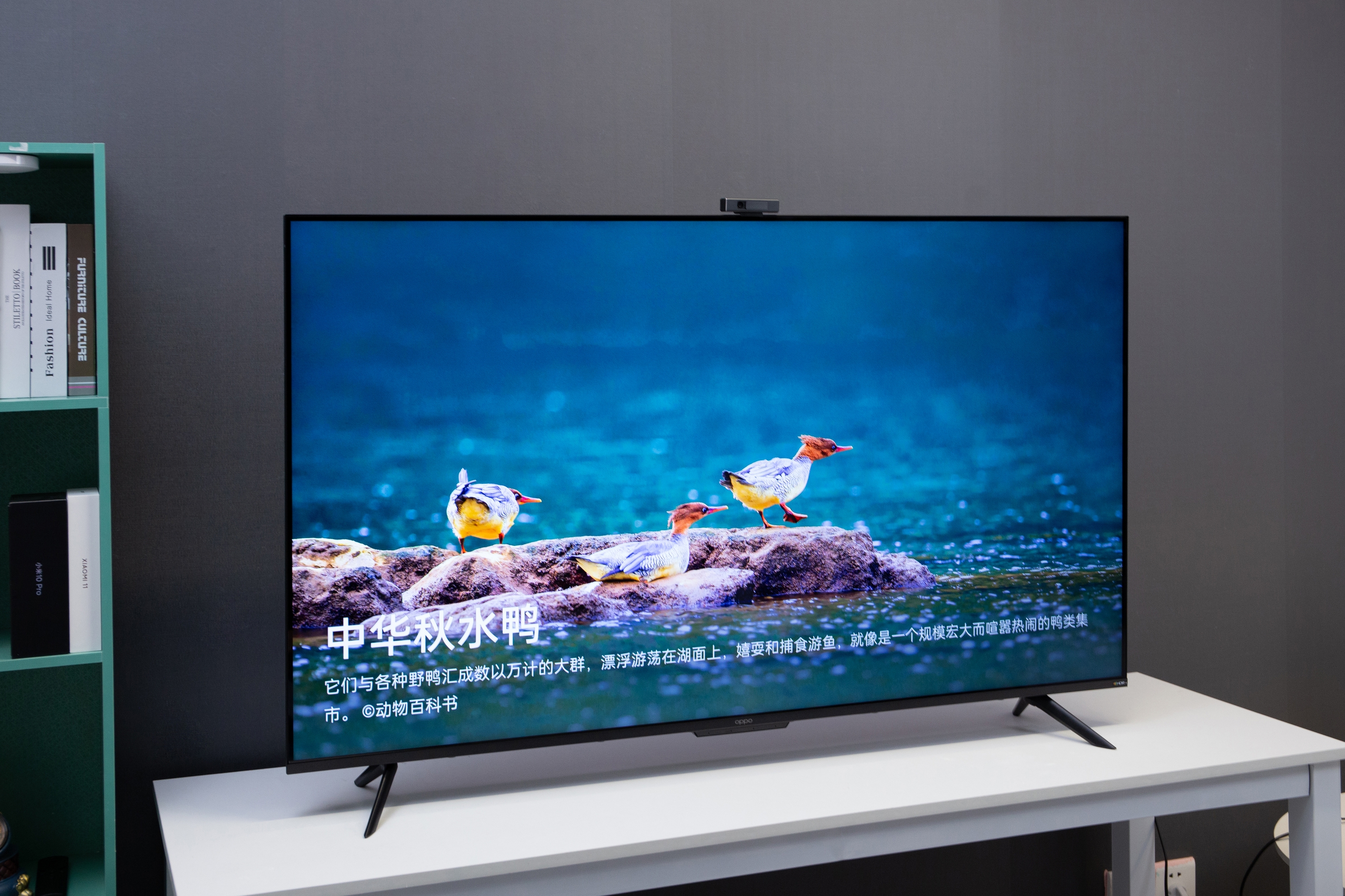 智能电视|4K全面屏+HDR10+低至1999元，OPPO智能电视K9值不值得买？