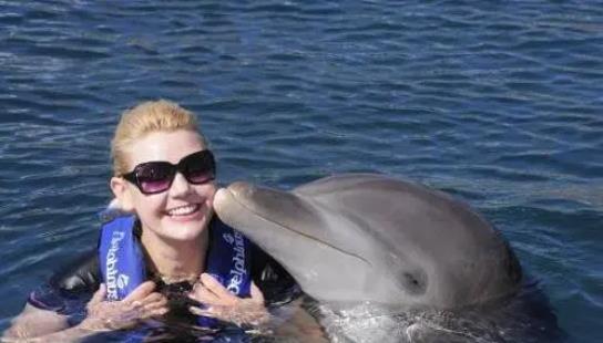 海豚 自杀殉情？公海豚爱上23岁人类姑娘，被迫分开后，将自己淹死