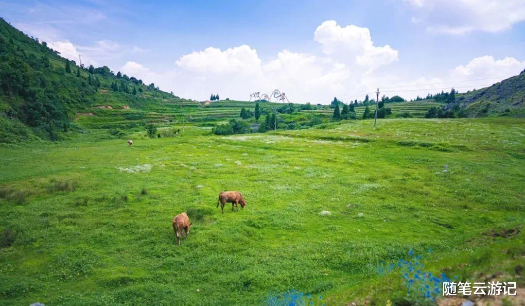 杭州 你的夏天是多少摄氏度？这里的夏天只有19℃！来，打开夏日避暑模式！