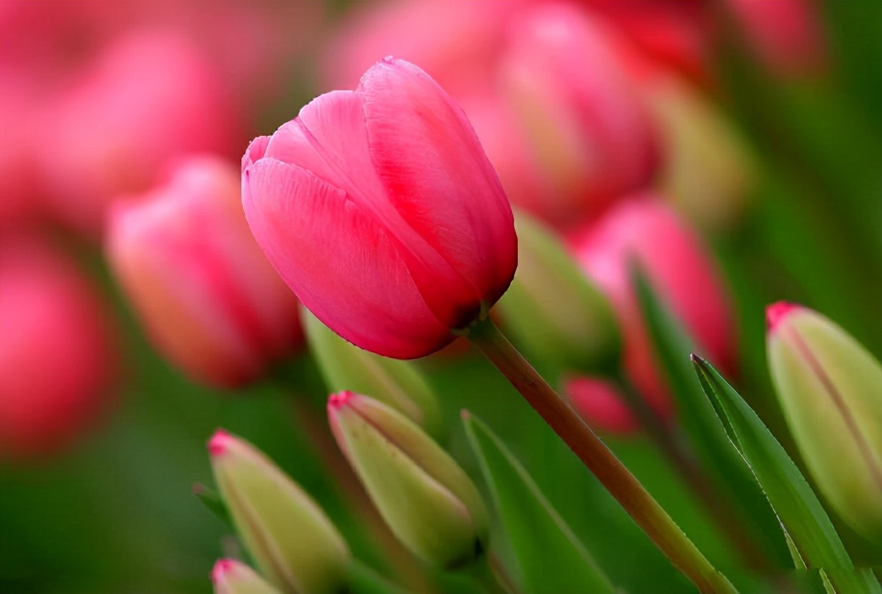 收费站|有一种苦，只有人到中年才会懂（读到心酸落泪）