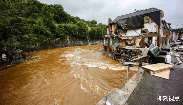 物种灭绝 地球迎来第6次物种灭绝？专家发表权威研究，2100年或突破临界点