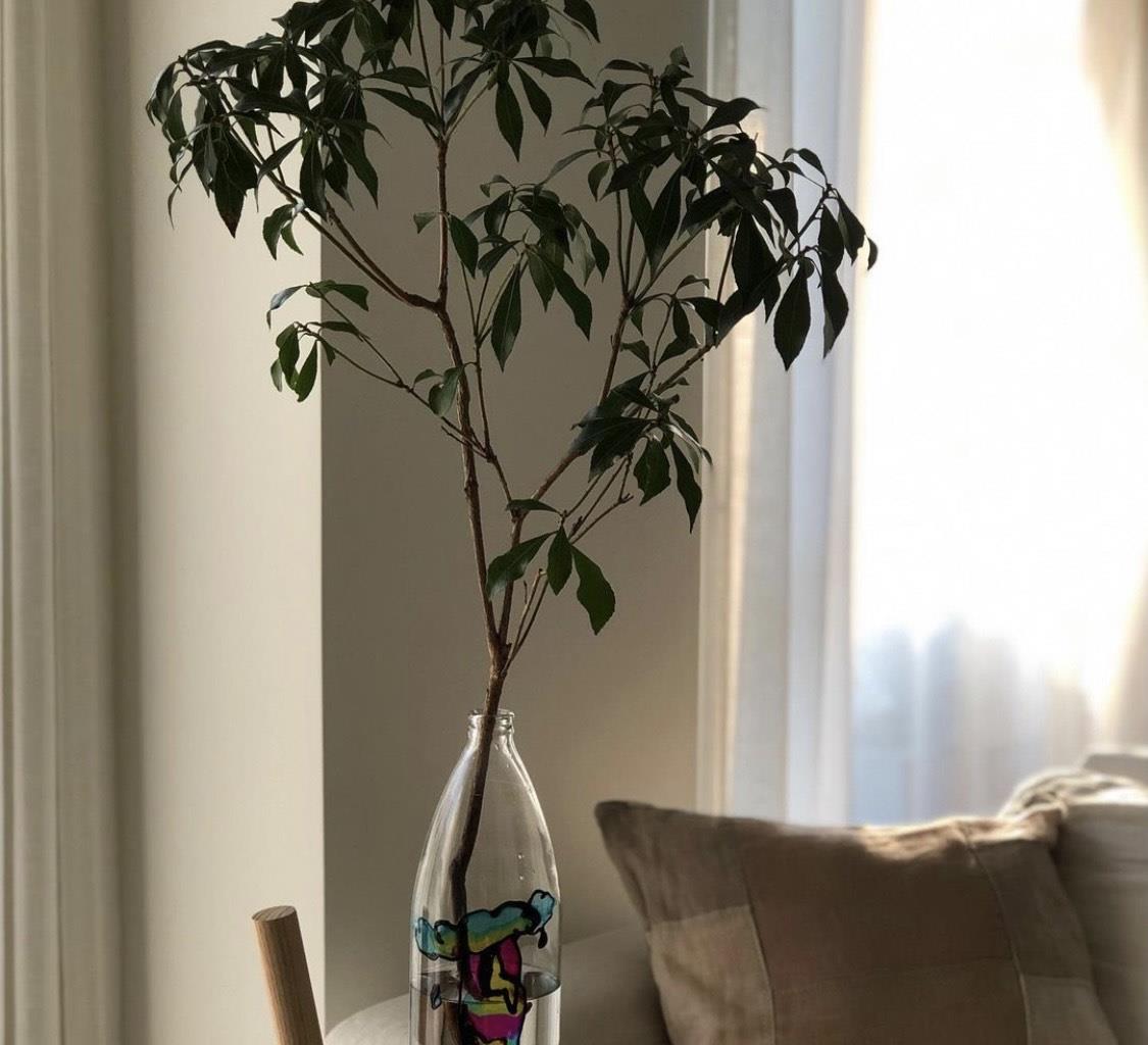 skp|日本女主，低成本布置出“侘寂风”，虽简单却朴实自然，好高级！