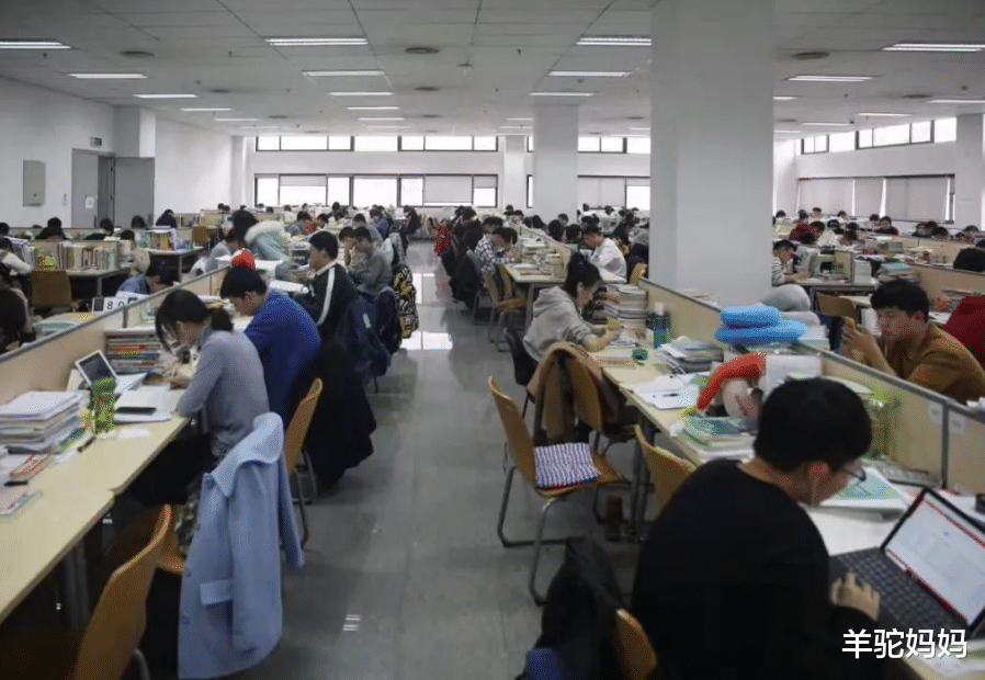 羊驼妈妈|“新型啃老”逐渐兴起，子女家里蹲得理所当然，父母也有苦难言