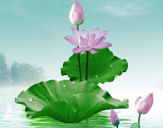 属龙|7月中旬,4属相财星高照,事业进步,钱财滚滚,日子甜蜜