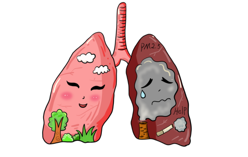 血糖|肺不好，日常做好3件“养肺事”，保持肺部健康有帮助