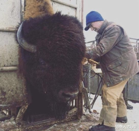|27张活久见的照片，看完涨姿势了