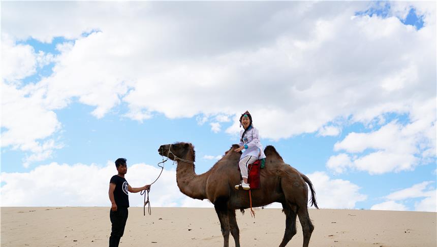 琳妹儿说|夏天避暑目的地首选，内蒙这个草原牧场很凉爽，和梅花鹿羊驼嬉戏