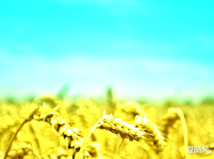 韭菜|一个人越活越年轻的6个习惯，请逼自己一定要养成