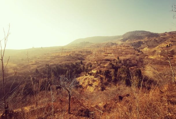 文科声 善良不容许被欺骗：靠视频表演而成百万富翁的假贫困户们该停止了