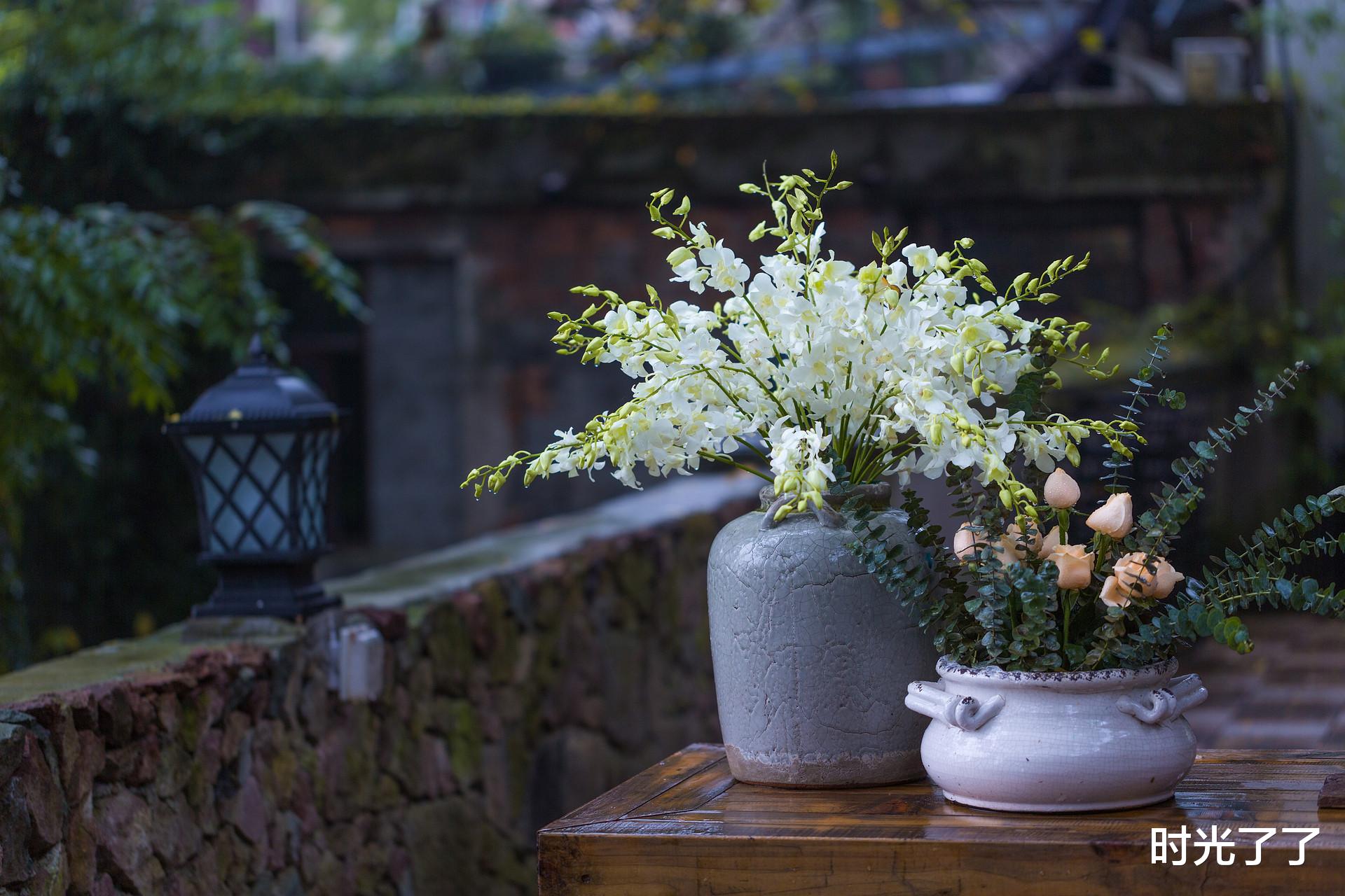 时光了了|与人相处,保持分寸感,是一种极大的修养