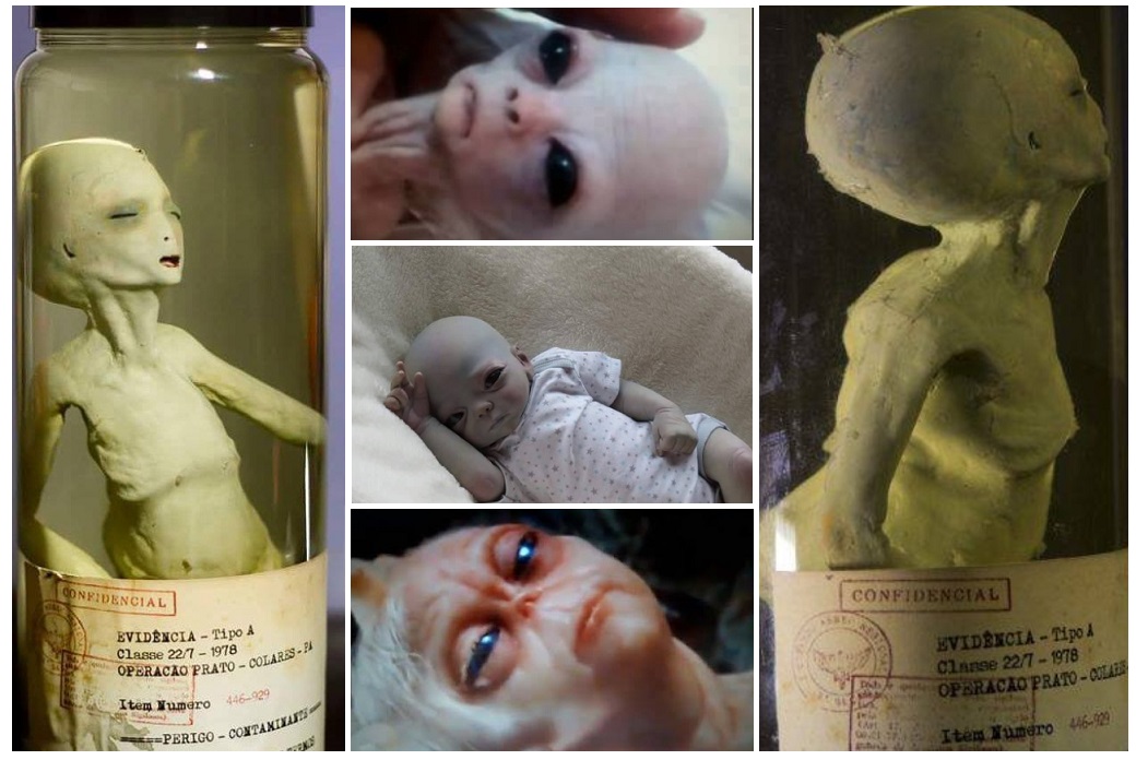  人类有一天会成为克隆人吗？