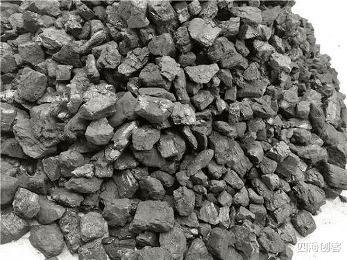 微生物 煤是怎么形成的？最高厚度可达百米，远古地球上真有这么多植物？