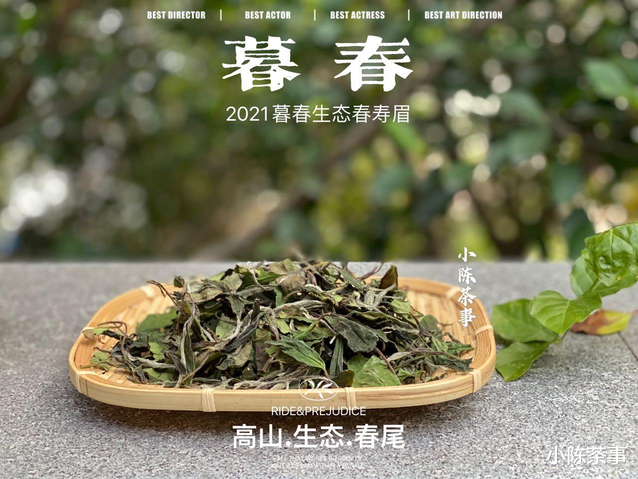 茶叶|白茶、红茶、岩茶,什么样的茶叶不必洗茶?什么样的必须洗?