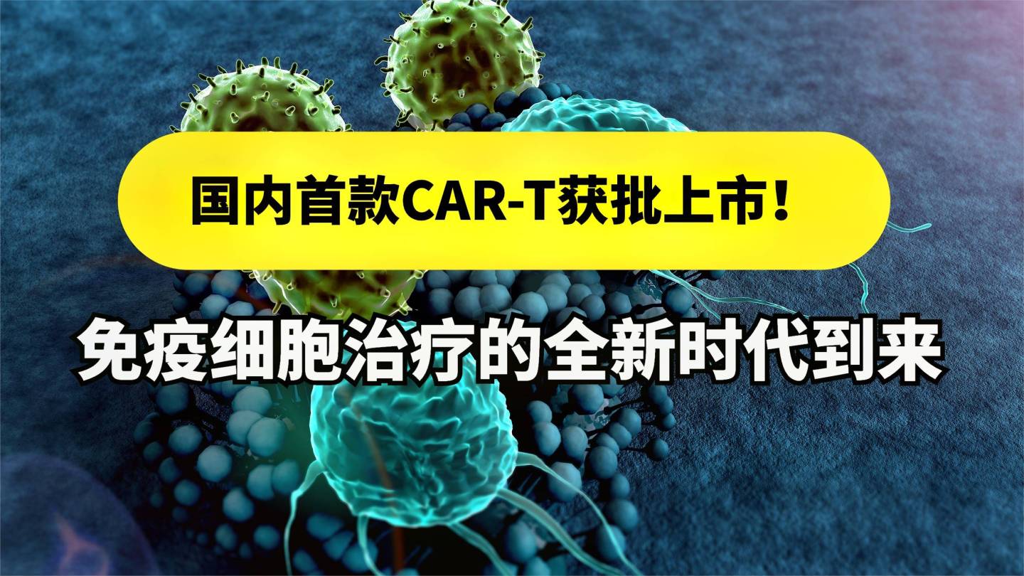 中科西部细胞研究院|中科西部干细胞研究院：国内首款CAR-T获批上市！免疫细胞治疗的全新时代到来