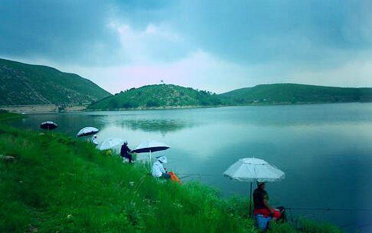 饵料|别人钓鱼身强体壮、心情愉悦，而你钓鱼却病魔缠身、苦不堪言