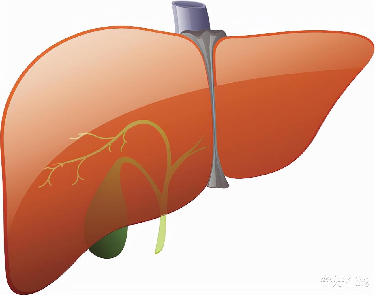 肝硬化|肝硬化患者在B超中的特征有哪些？专家直言：导致肝硬化成因有3种