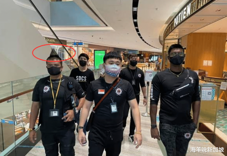 海羊说新加坡 新加坡“购物天堂”古惑仔现身讨账,“山鸡”造型太抢镜了!