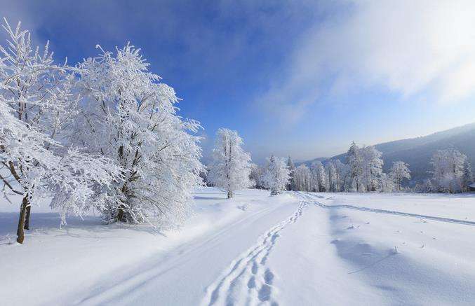 肾病|冬季可以按揉这些穴位补肾阳气
