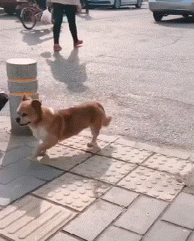 |“回家看到女朋友在瑜伽垫上睡着了,我是被绿了吗?”