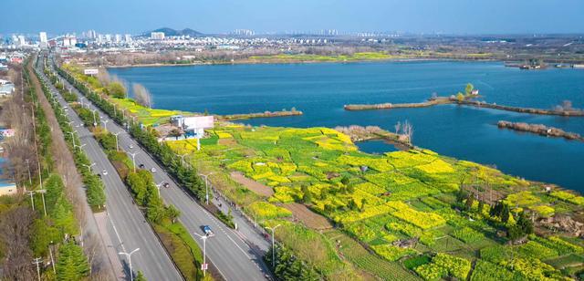 淮南 春节期间淮南最火的景点,不是寿县和八公山,而是昙花一现的梅园