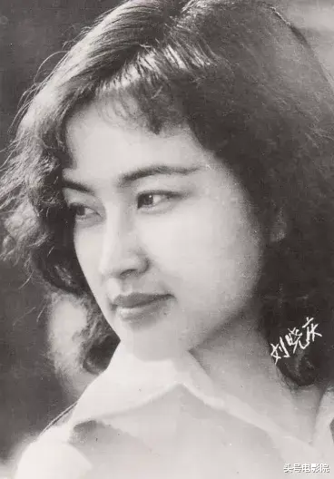 刘浩存|张恒帮郑爽逃税罚3227万，明星逃税黑史：封杀，入狱，经纪人自杀