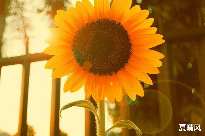 夏晴风|一个人开始有钱的征兆