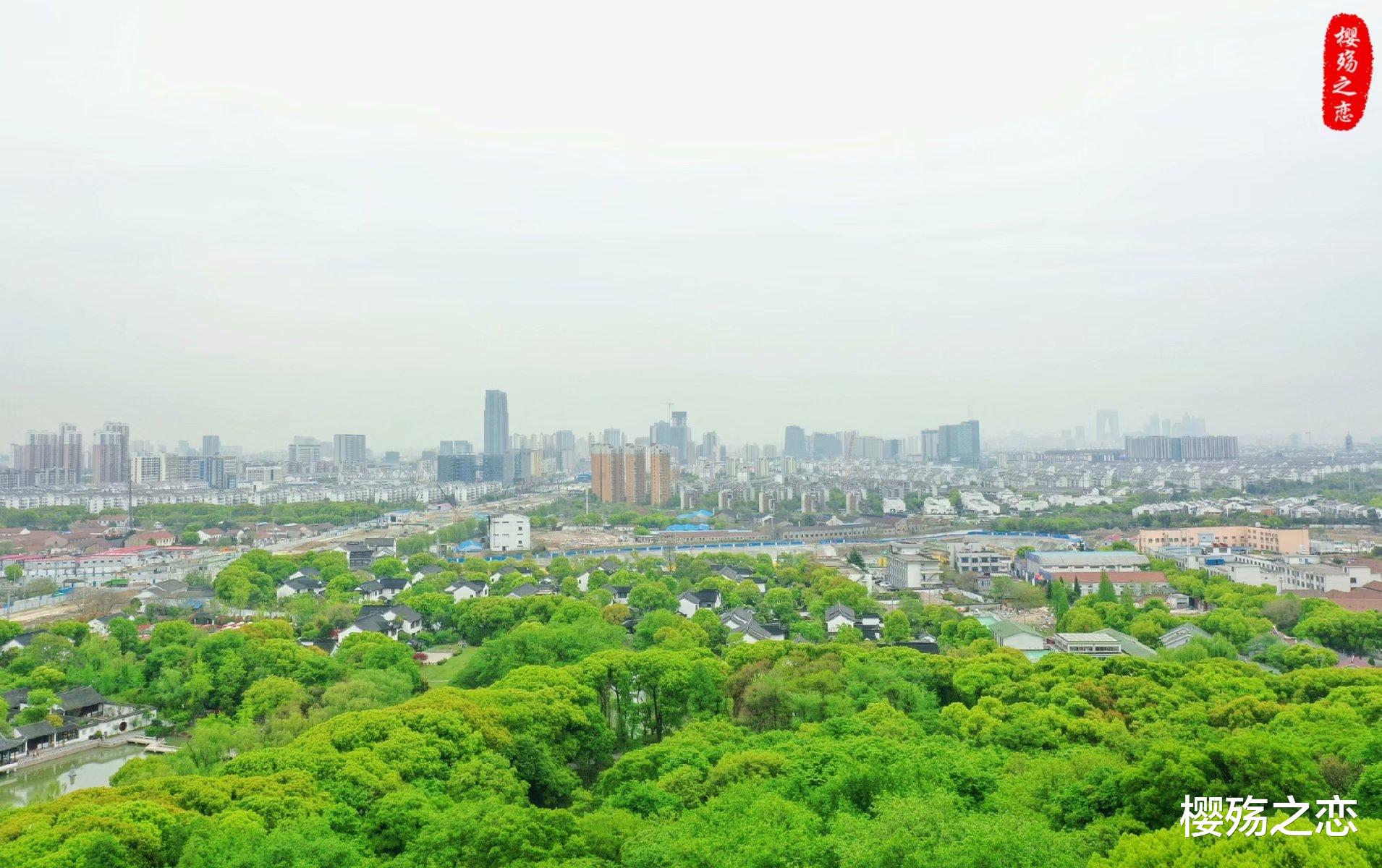 樱殇之恋 中国最忙的高铁线，每12分钟发一次车，创造单日破40万人次的纪录