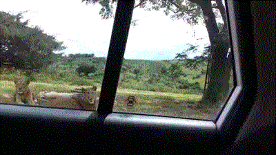 王一博|“为什么大家都在抢屠龙刀，却没人去抢倚天剑？”哇哈哈哈...神评亮了！