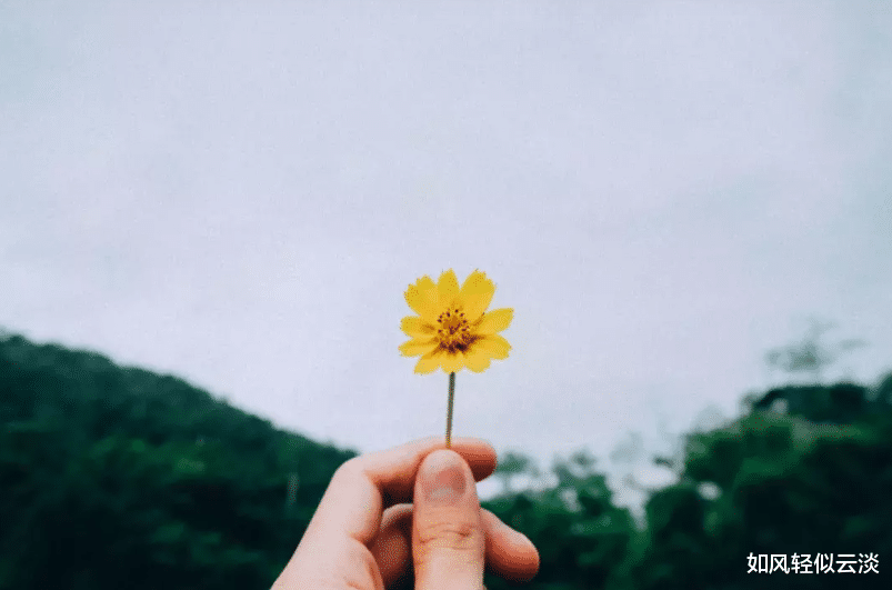 |人在单位，不要小看了别人，也不要高估了自己