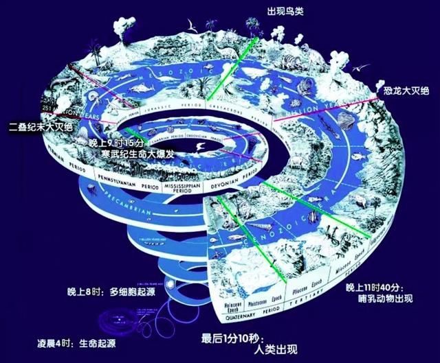 寒武纪生命大爆发:海洋氧化为什么是重要基础?