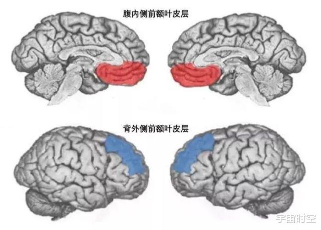 我们在做梦时,为什么不会对梦境里的不合理之处表示怀疑?