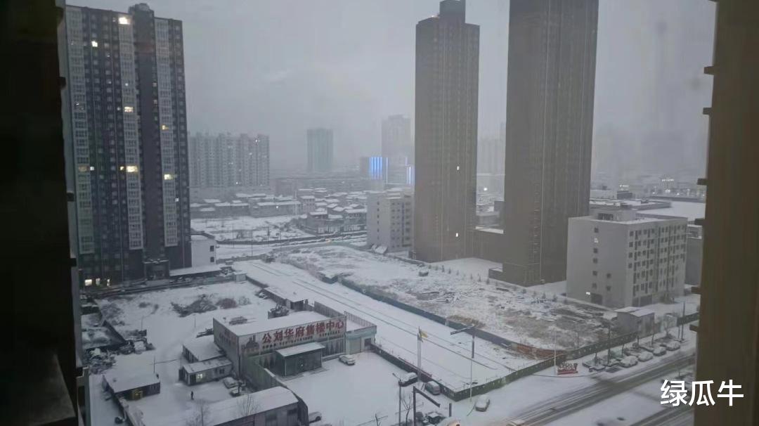 居家第一天,城市下雪了,可以安心在家