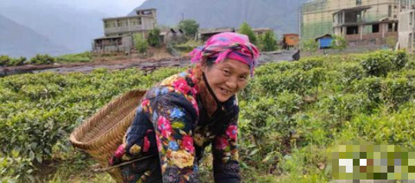 福贡快报 共产党的好说不完：从揭不开锅到日收入过千