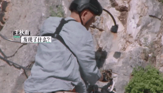 嗨猪的家庭|离婚女明星上综艺,道出婚姻残酷真相:打败感情的不是出轨,而是……