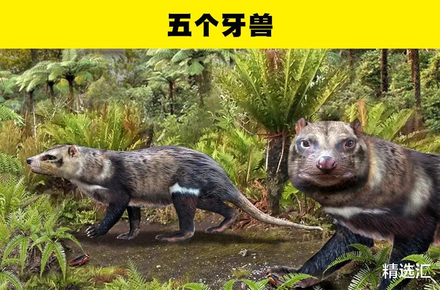  科学家们发现的8种非常奇特的史前动物