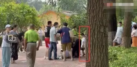 星猫亲子家园|动物园这则《官方声明》太高明！表面教育兽，暗地批评了人！