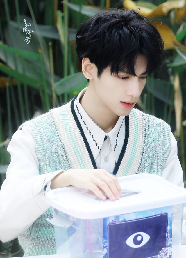 杨洋|杨洋、肖战、罗云熙、陈晓、陈立农、成毅、张云雷、许魏洲、栩嘉