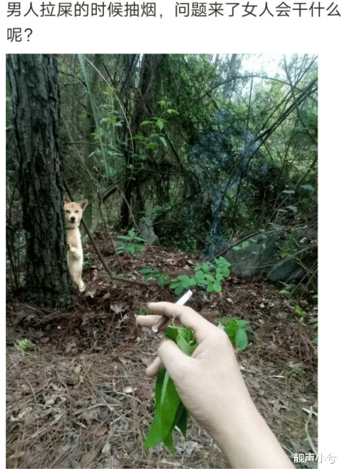 |有人说爱情不分国界，不分年龄的，但是对于未成年怎么办呢？