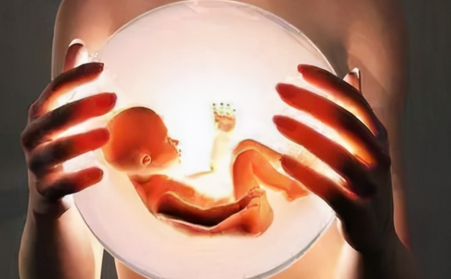 萱爸育儿经|女性是如何发现自己怀孕的？网友分享趣味经历，看完感叹很玄妙