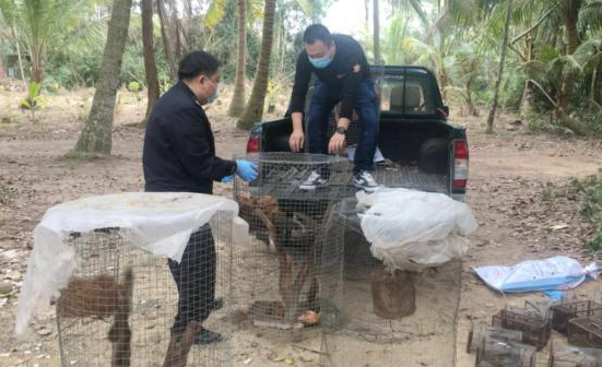 别再做这3种“小生意”了!下半年将会严查,严重的或将被判刑
