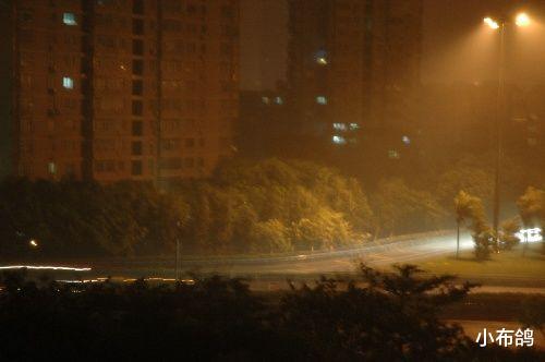 小布鸽|身上若无千斤担，谁愿拿命赌明天