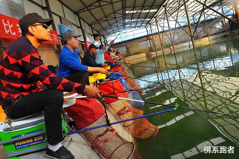 |胡言乱语 · 关于钓鱼