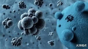 新德里|新冠疫情尚未结束，新德里传出坏消息，印度多数民众苦不堪言