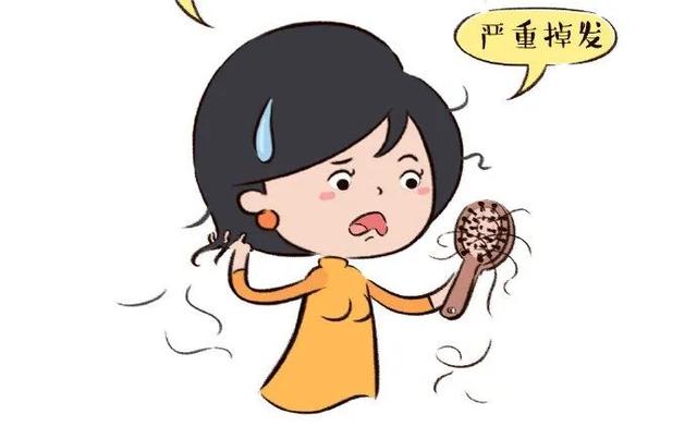 脱发|脱发可以多吃这些食物，快来看看吧！