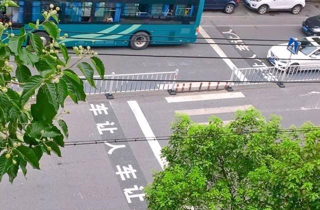苏州:女子正常过斑马线被车撞,没想还被网友骂,“行人无责?”