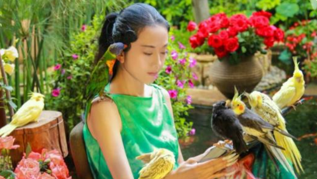 杨丽萍|杨丽萍的3000万“月亮宫”被封，外面看着光鲜亮丽，里面却不干净