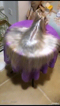 小叶娱记 “我该不该告诉我女友,她脚上全是灰呢?”表面功夫真足!