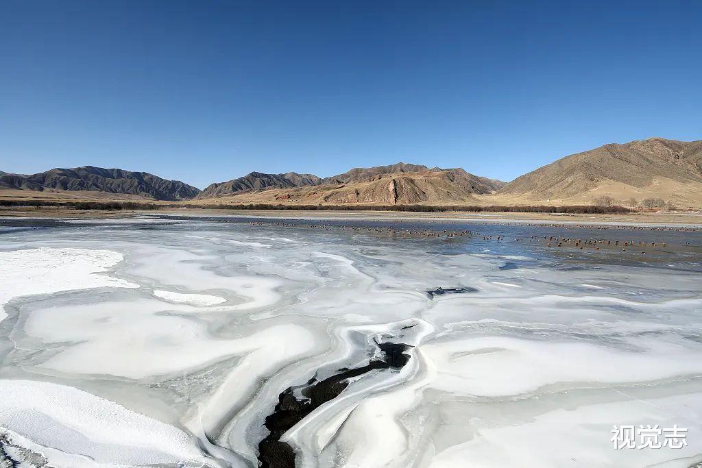 视觉志 明星被扣留17天,释放那天全网欢呼