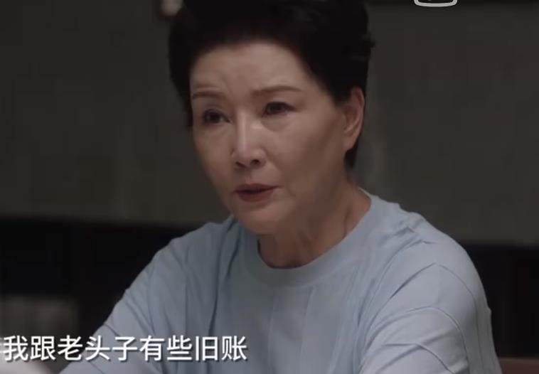 蔡菊英|《小舍得》:长公主绝地反击揭开往事,这才是南建龙的真面目